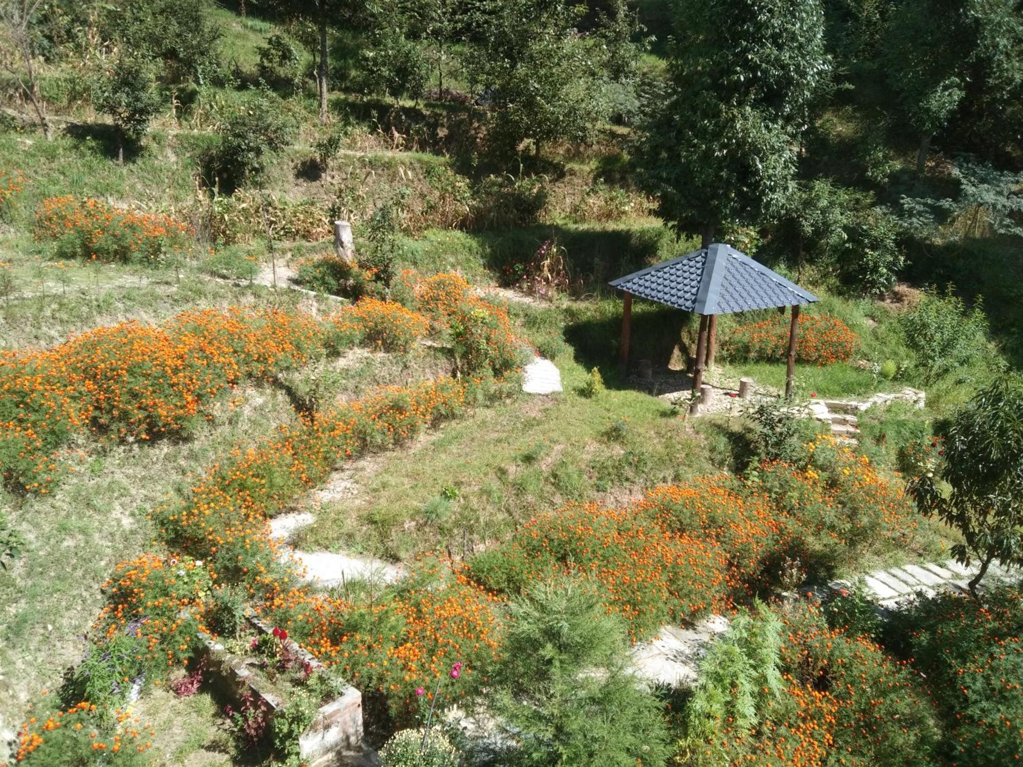 Francolin Lodge-Farmstay @ Darima Mukteshwar Kültér fotó